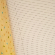 Caiet tip II, 24 file, 5 buc/set